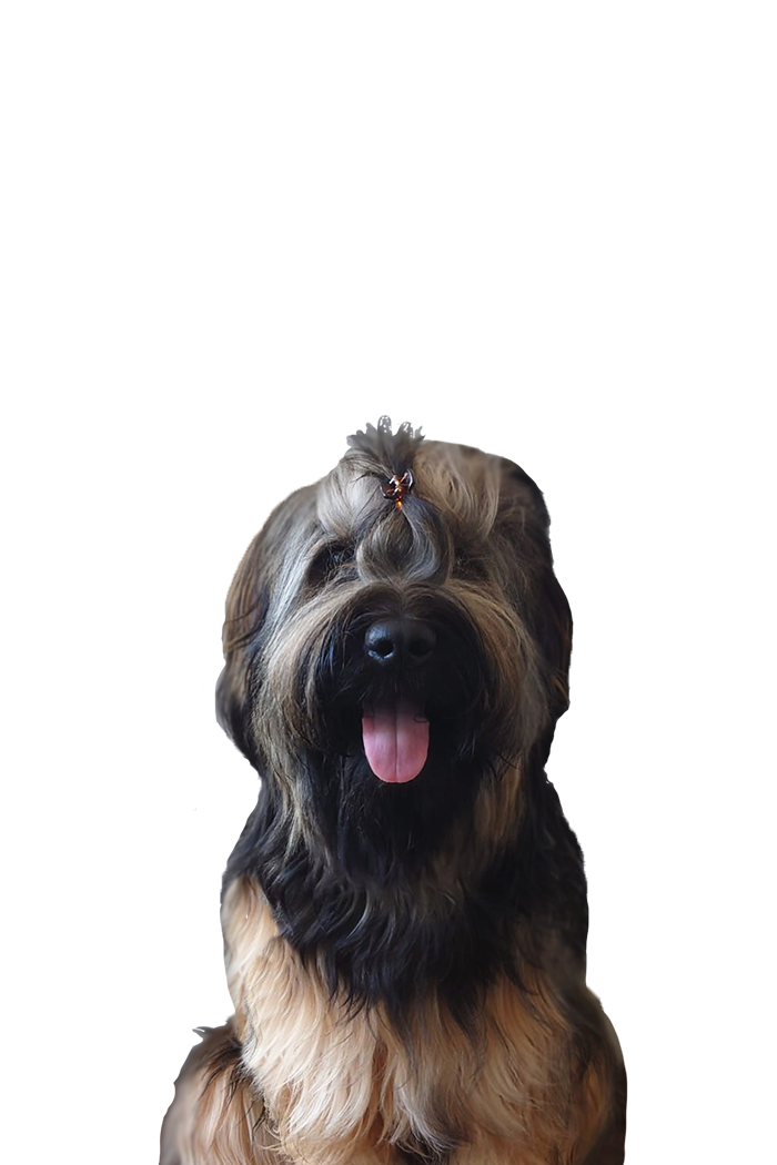 https://www.zodoende.nl/Sam.png